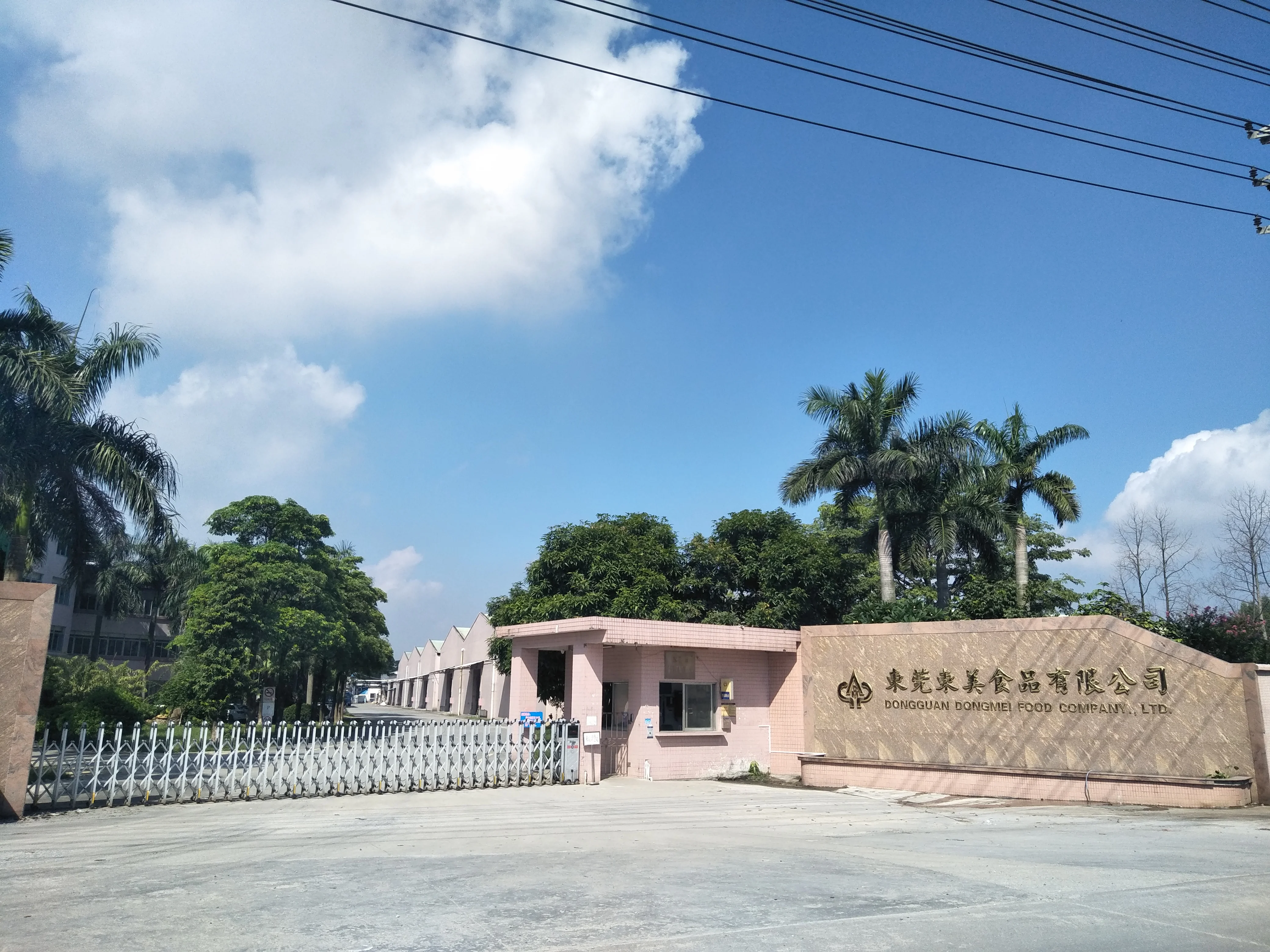 food ingredients cassava modified starch  for tai-wan roast sausage