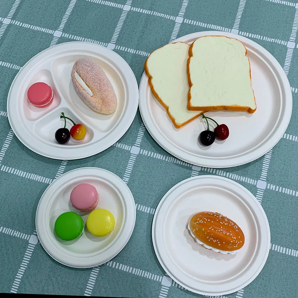 Bio compostable  degradable tableware dinner sets 9 inch disposable sugarcane bassage paper pulp plate