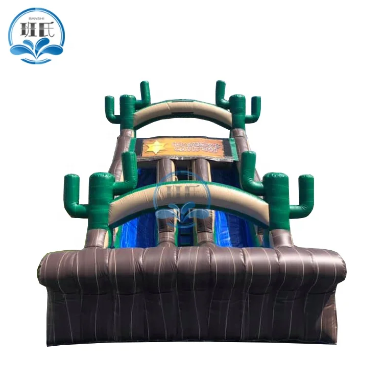 cactus commercial blow up double lane dry bouncy slide games backyard party inflatable slide for children