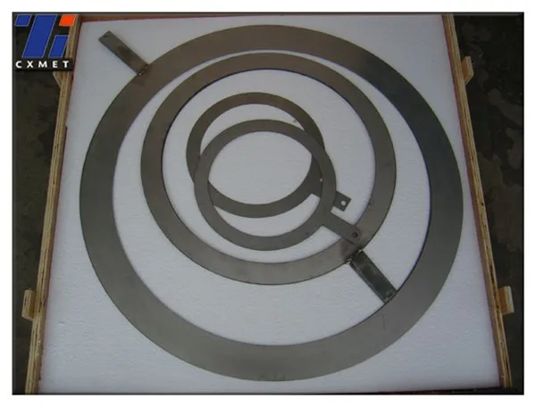 Hastelloy C-276 nickle alloy grounding ring for price