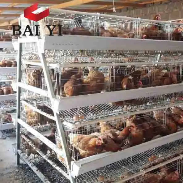 Курятник для ОАЭ куриная ферма в Малайзии Саудовской Аравии