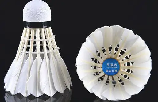 
Gym Training Badminton 