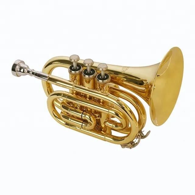 
Accept OEM DSPT-5801 Gold Lacquer Pocket Trumpet 