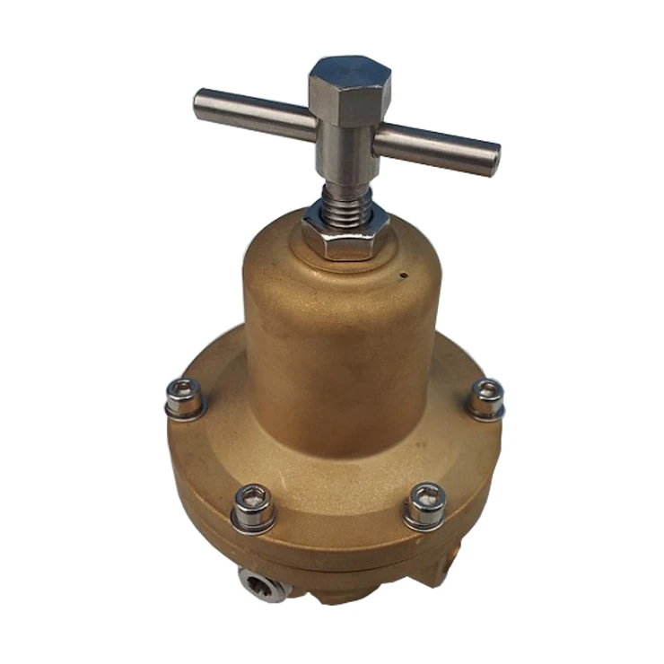 natural gas regulator low pressure regulator rego regulator