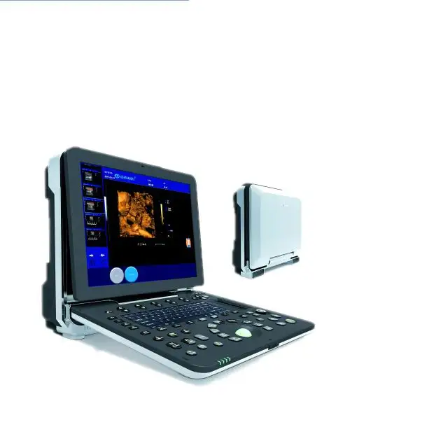New laptop and portable 3D 4D Color Doppler Veterinary Ultrasound DW-P6(DW-C300) can exam cardiac