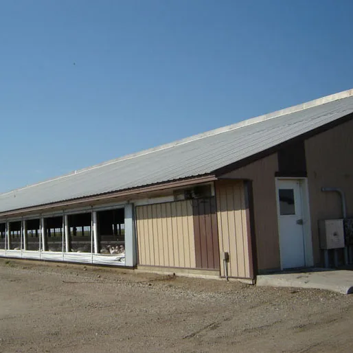 Prefabricated steel structure poultry breeder chicken house design drawing