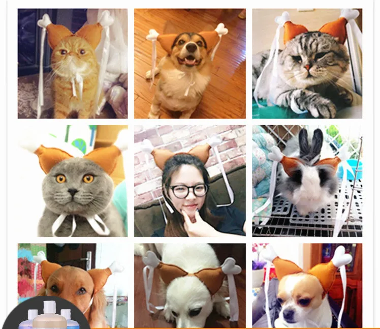 wholesale new design cat hats fashion pet hats for cats