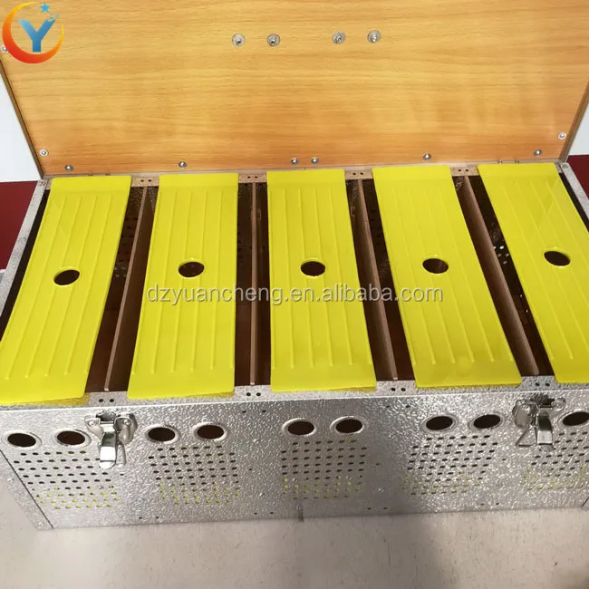 5 holes pigeon breeding cage/racing pigeon cage feeder stainless steel transportation box