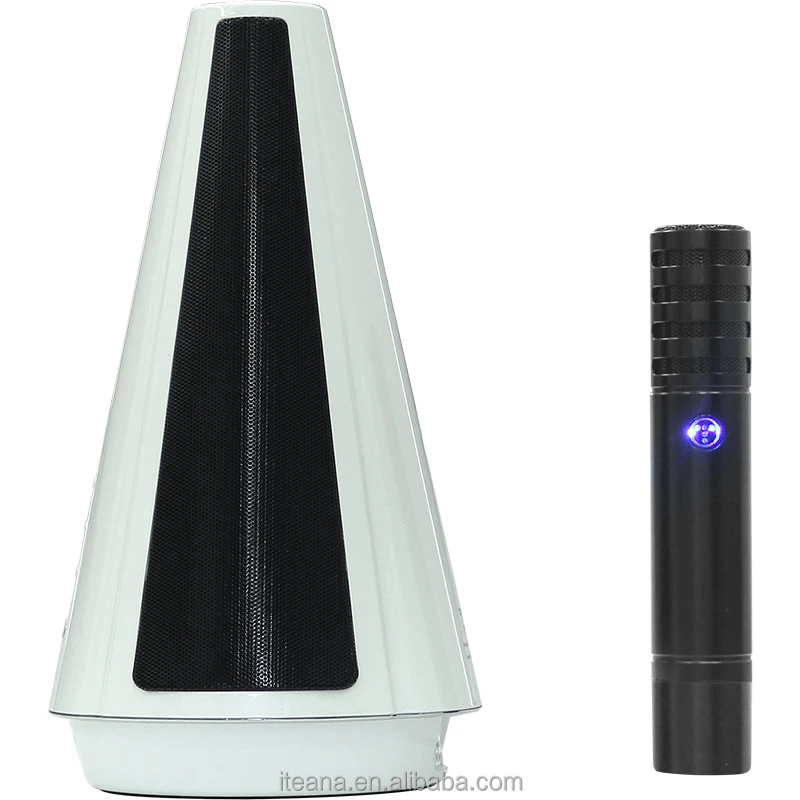 Беспроводной микрофон караоке Портативный BT KTV динамик-микрофон USB плеер