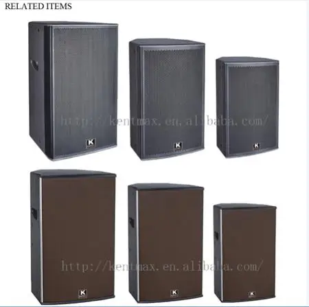 Newest Arrival 100W Sound System Professional Power Amplifier with USB