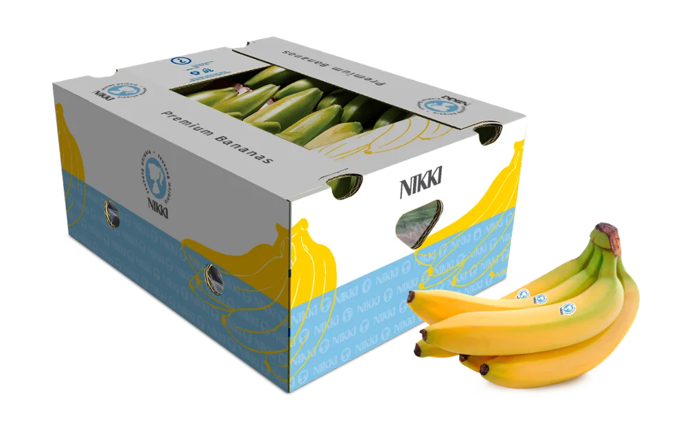 Biodegradable Food Industrial Used Cardboard Banana Packaging Box Sizes