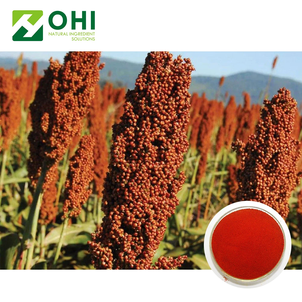 Food grade Brown Red Powder Sorghum Extract