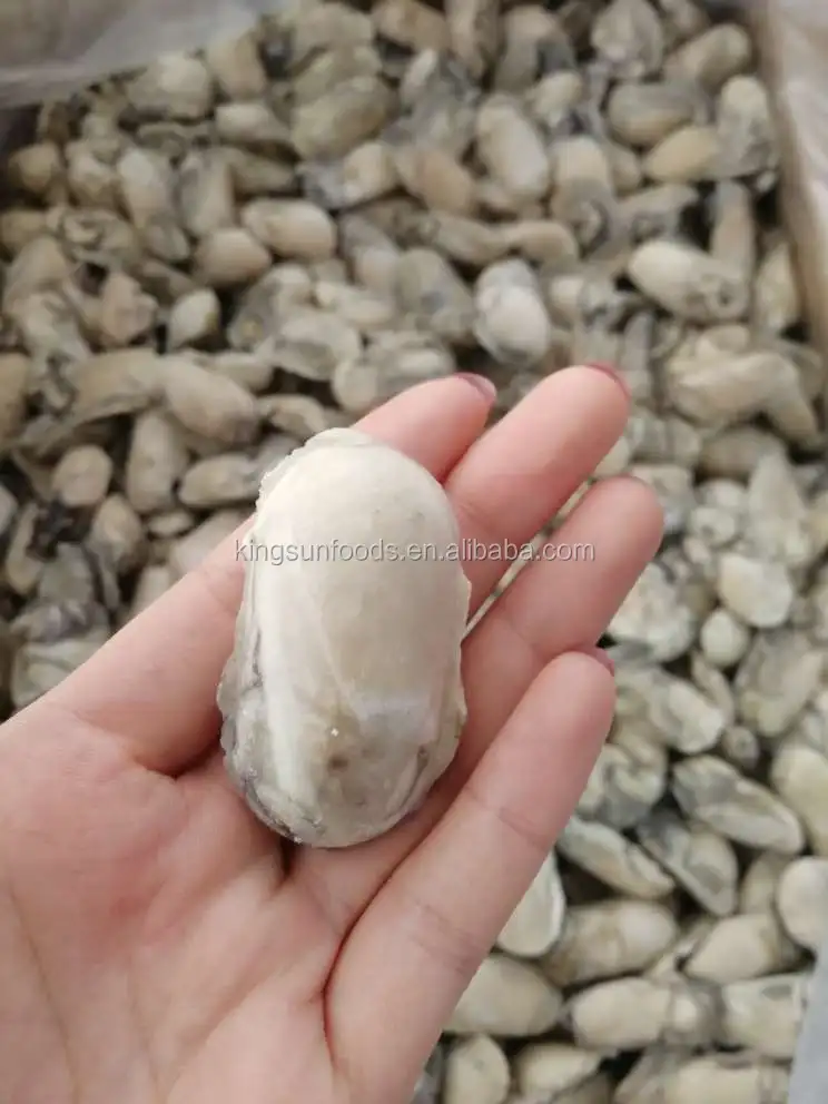 Высшее качество, замороженное устричное мясо, оптовая цена