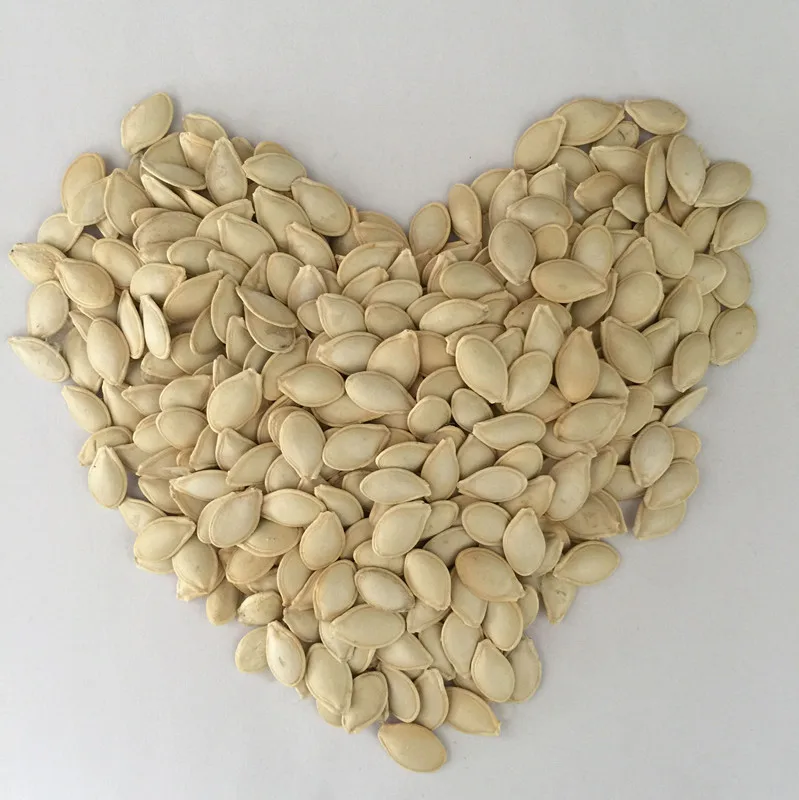 Good resistance high yield vegetable seeds hybrid f1 squash seeds