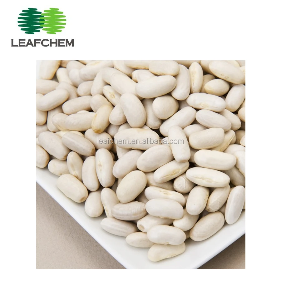 
White Kidney Beans P.E Extract Phaseolin 10:1 Powder with good price 