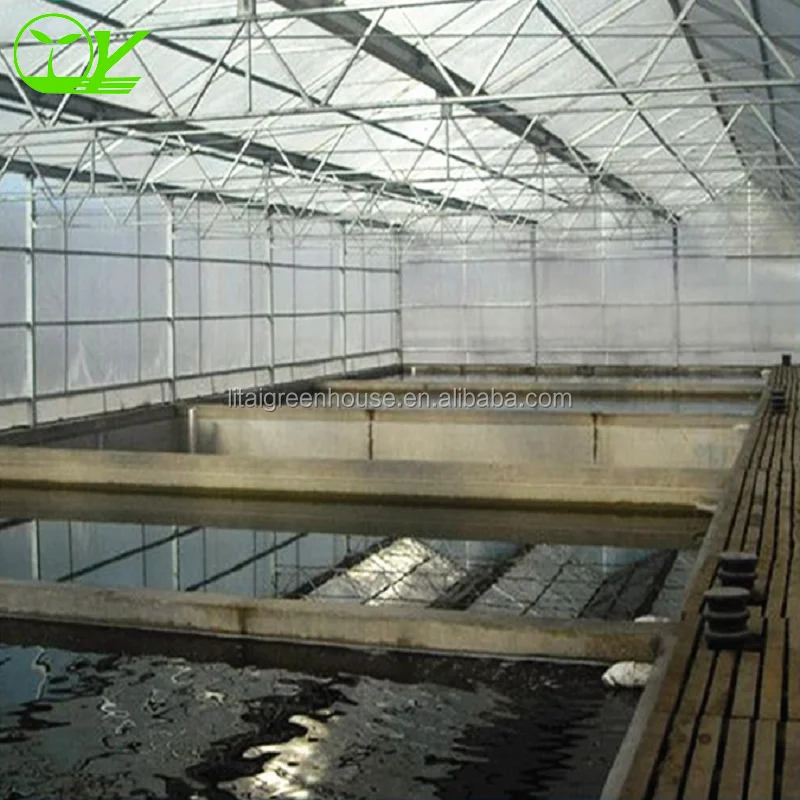 Poultry Farm Design Greenhouse single-span greenhouse