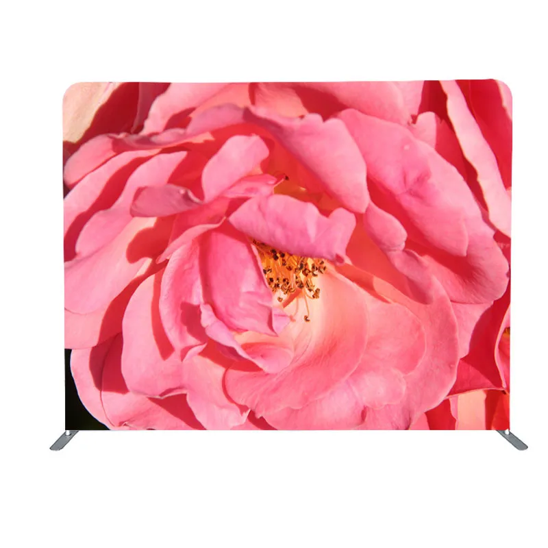 Portable Green Screen Photo Booth 3D Photo Backdrop Display Pillow Case Backdrop Stand Oversized Banner Stand