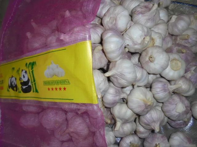 High quality factory direct sales 5.0cm 6.0cm fresh normal white garlic