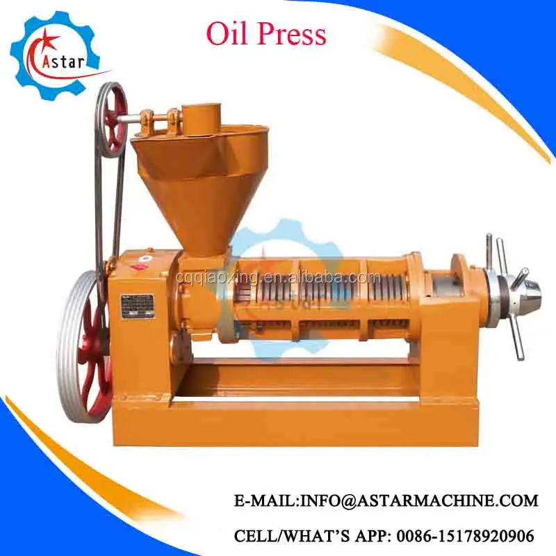 Mini Home Use Peanut Soybean Oil Press Machine