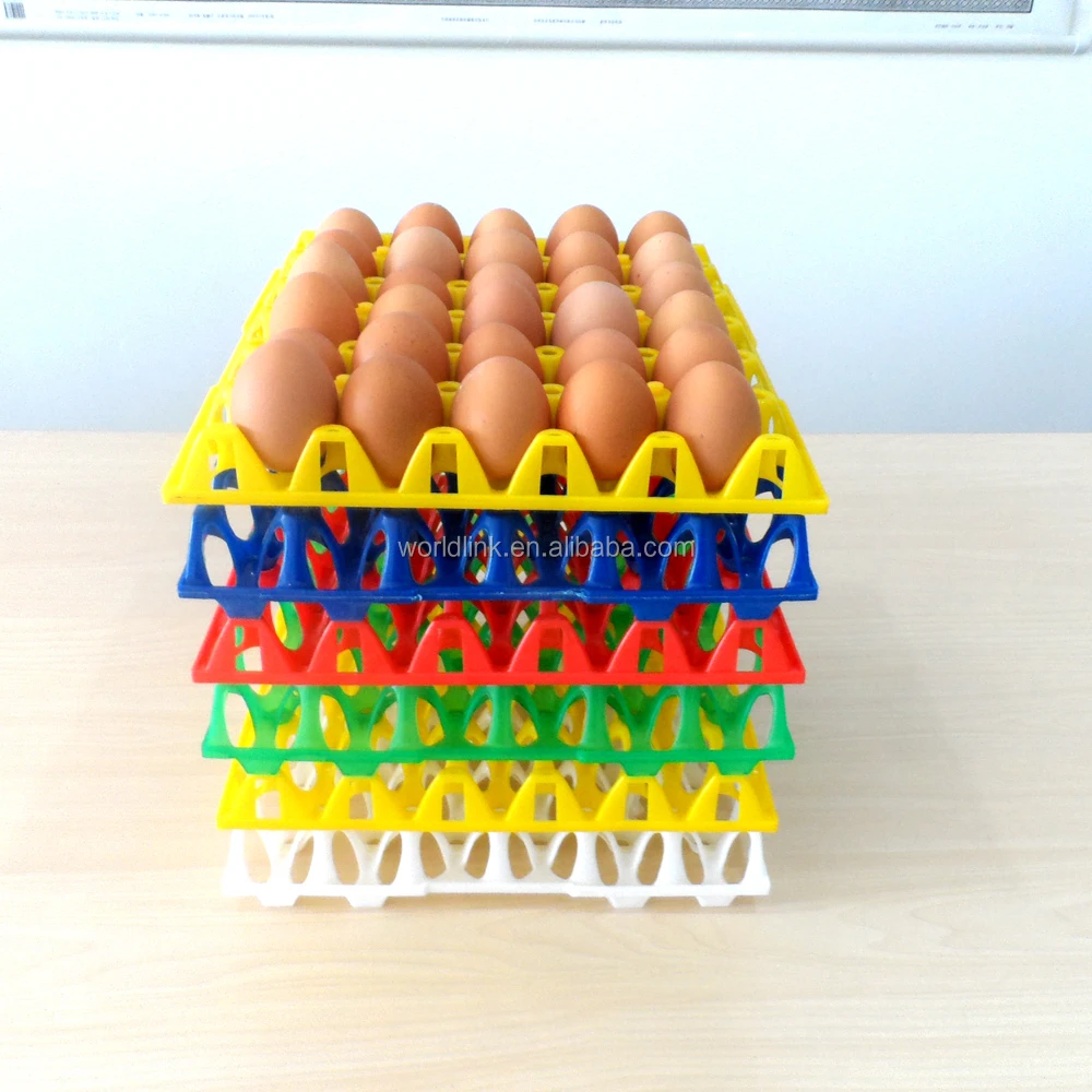 plastic egg tray (21)