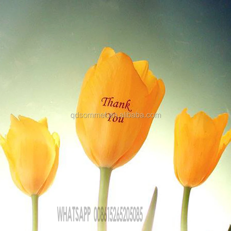 3 years warranty CE approved finger nails painting machine