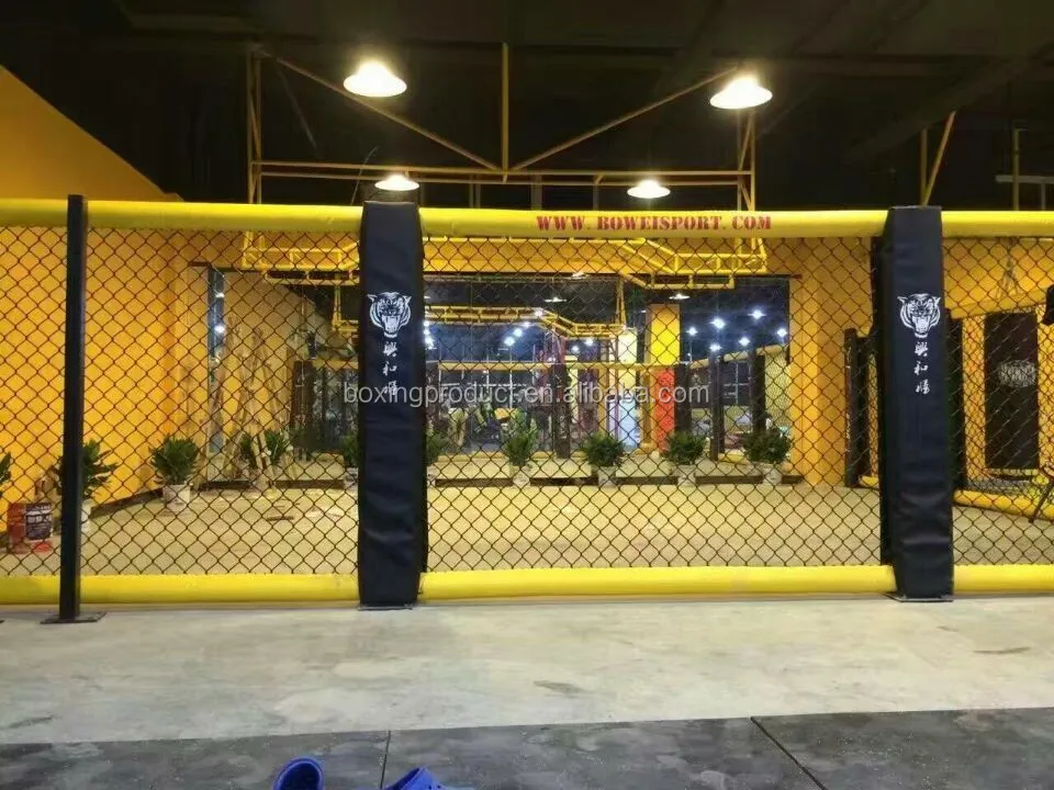 Custom MMA Cage Fence for Gym