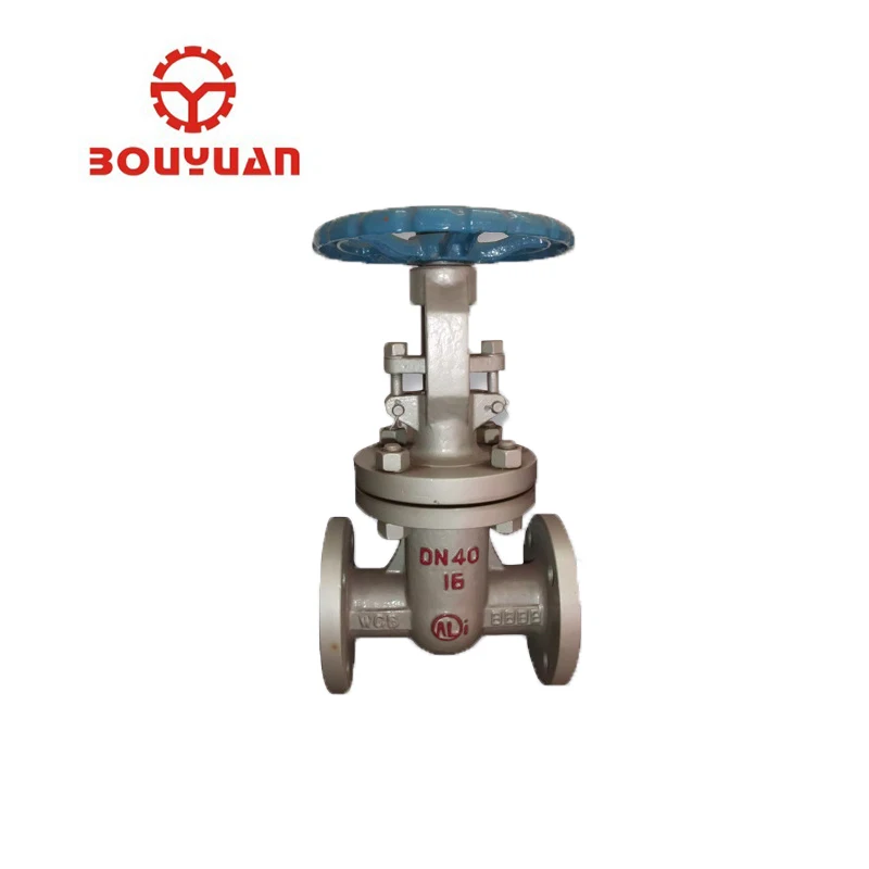
Z41H gate valve 5 inch flange ends WCB gate valve 