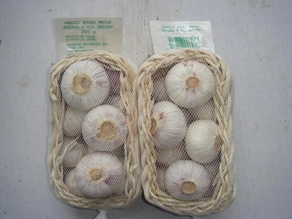 Fresh Solo garlic single clove garlic factory directly supply
