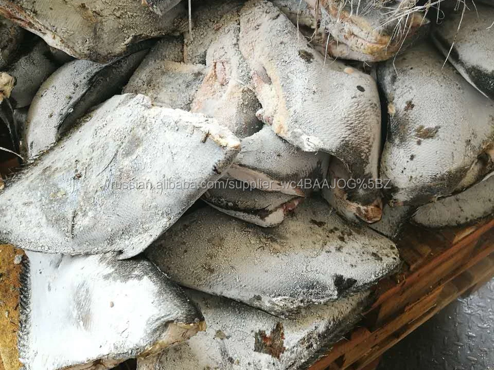 Замороженные Китайский Брама Брама рыбы тихоокеанского HGT брама