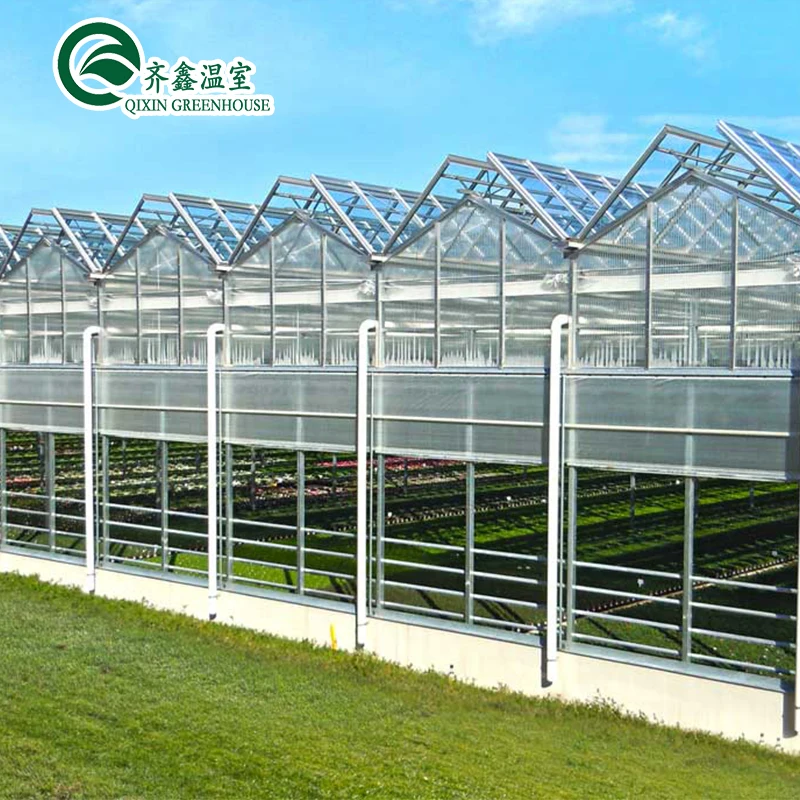 Large Vertical Hydroponic System Glass Greenhouses Agriculture