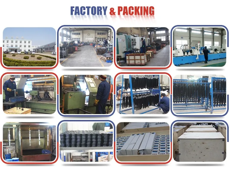 factory and packing