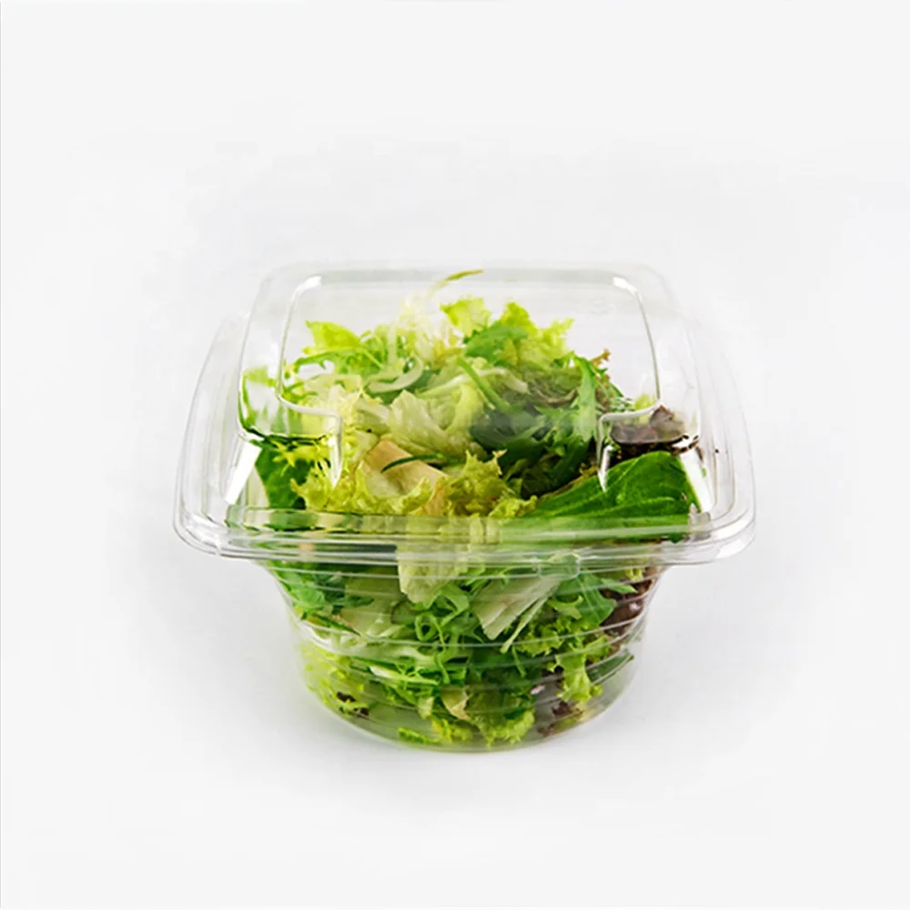 
Plastic lunch fruit biodegradable transparent RPET/PET disposable high quality salad box 