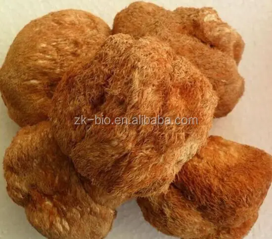 Органическая сушеная Львиная Грива Гриб