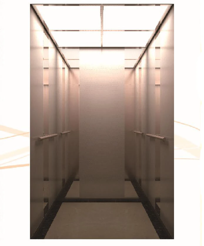 
Cheap Fast and Safe Passenger Elevator Lift 