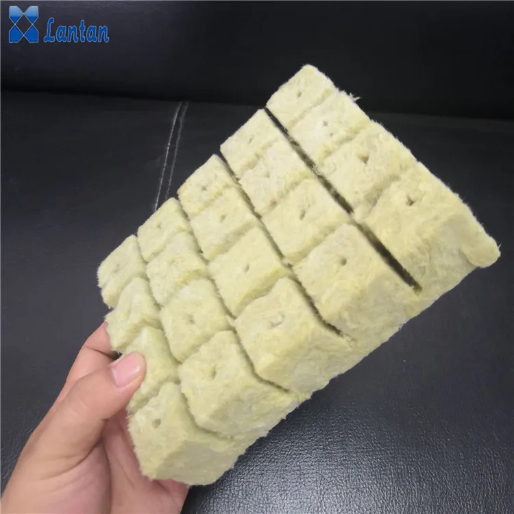 Agriculture grow rock wool cubes