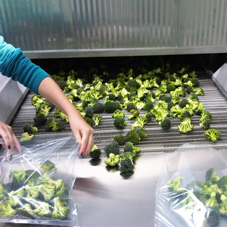 Туннельная машина для быстрого замораживания iqf