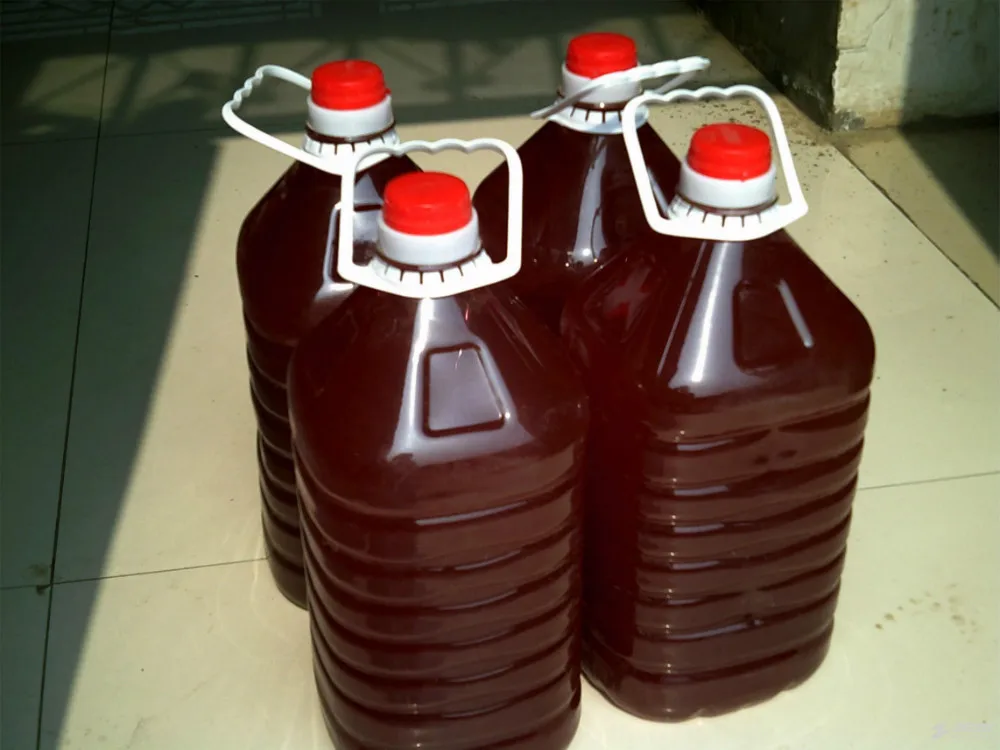 Кормовые добавки и аквакультуры пробиотики фотосинтезирующие бактерии