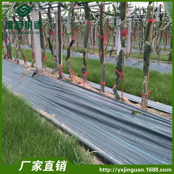 Agricultural plastic mulch film in roll