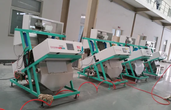 Color Sorter In China Bean Sorting Machine