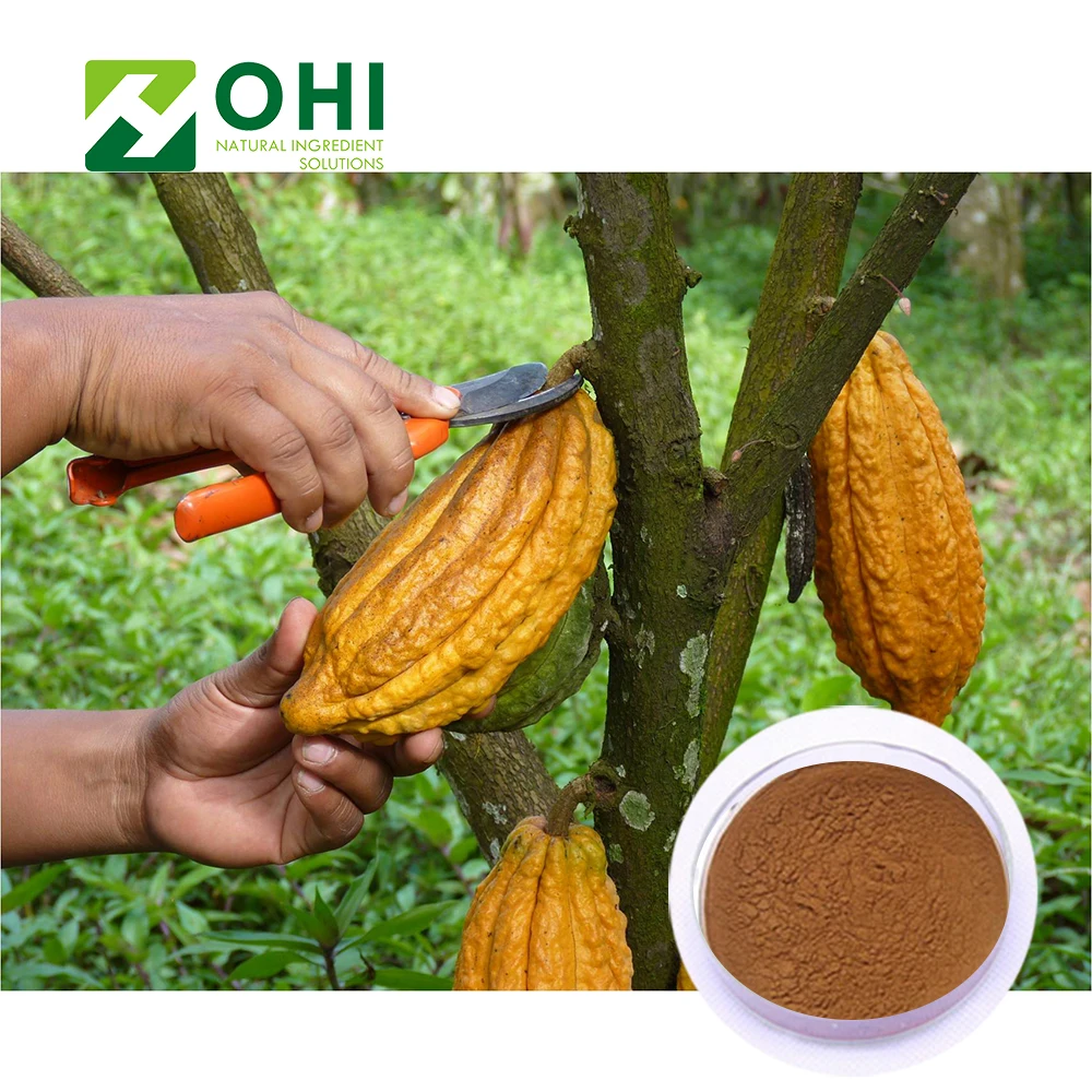 Cocoa Theobromine Extract/Theobroma cacao Powder/unsweetened cocoa powder