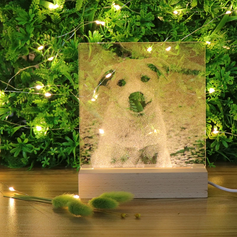 Customization Wooden Base For Acrylic 3D LED Night Light Animal