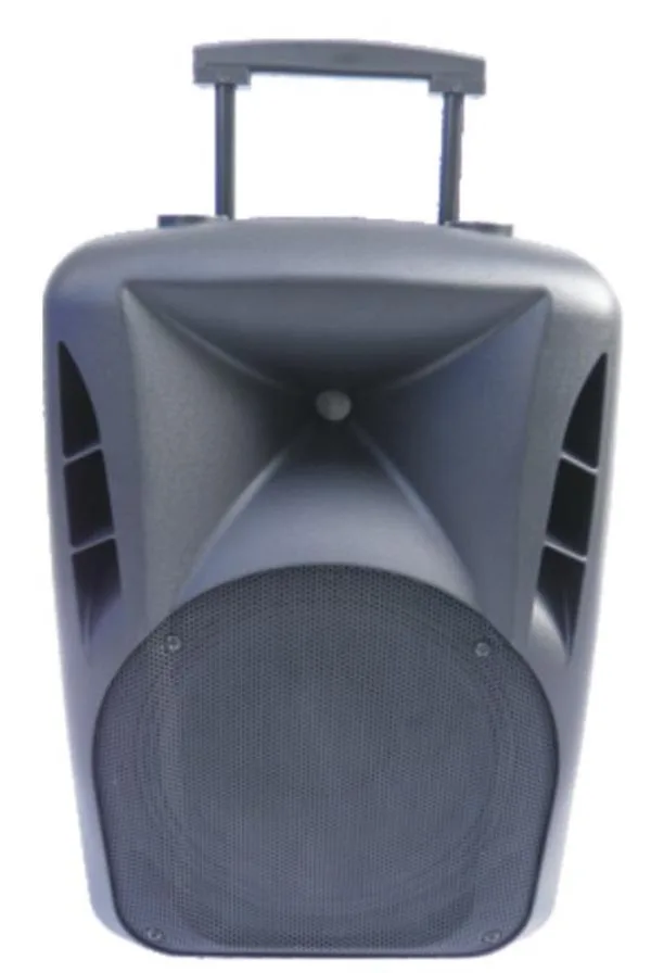 Вибрации profeesional 15 дюйм(ов) 2 разъём(ов) динамик коробка с MP3 / USB / SD функция