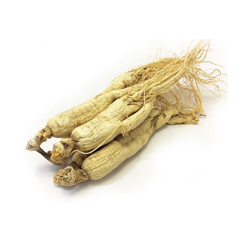 China Changbai Mountain Sun cured ginseng dry RADIX GINSENG