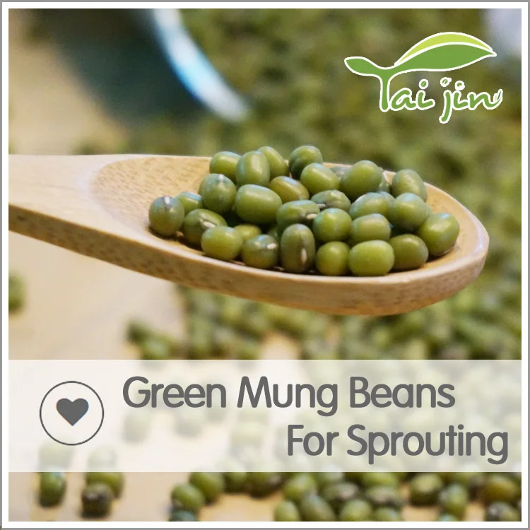 
2017 New Crop Common Cultivation Sprouting Green Mung Beans 