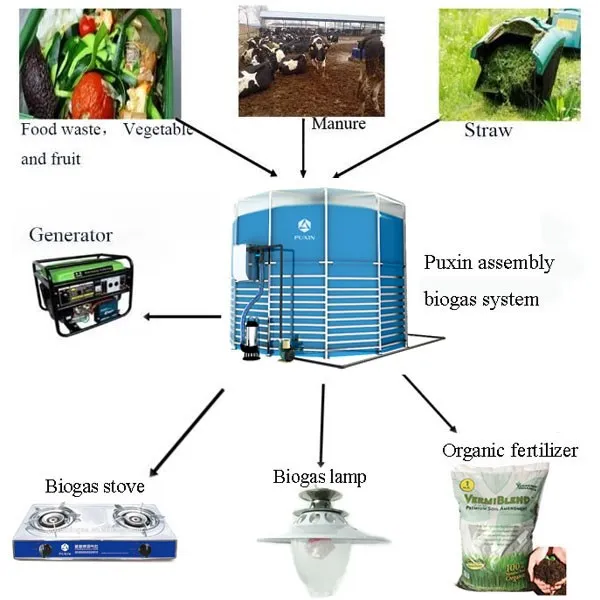 ПВХ органических отходов биогаз электростанции реактора