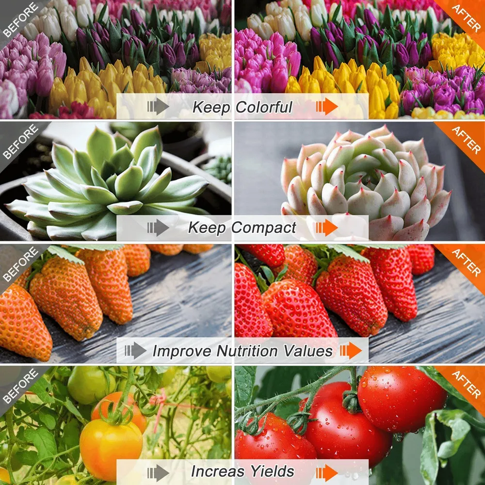 18W Dual Head LED Plant Grow Light,Dimmable Grow Lights Desk Clip with Adjustable Gooseneck for Indoor Plants