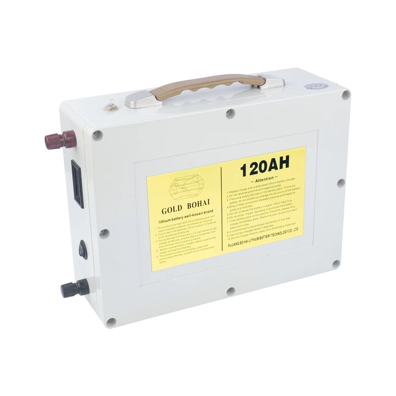 New customized small rechargeable 12V lithium battery pack for outdoor use