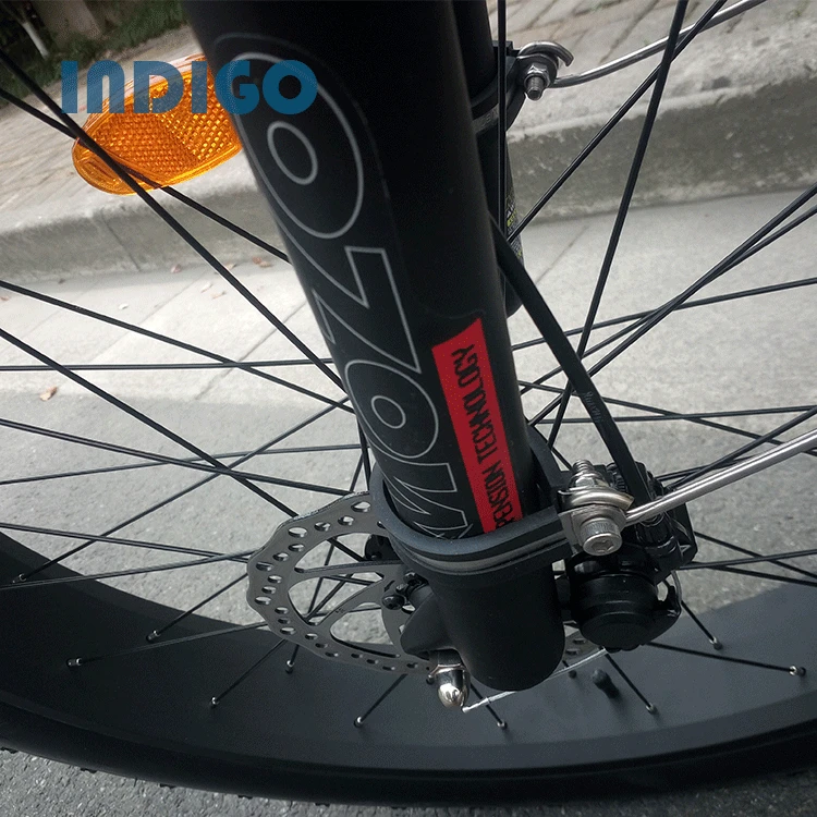 China Supplier Mountain Fat Tire Electric Bike mid motor tyre electric bike/bycicle/ebike 750w electric bike