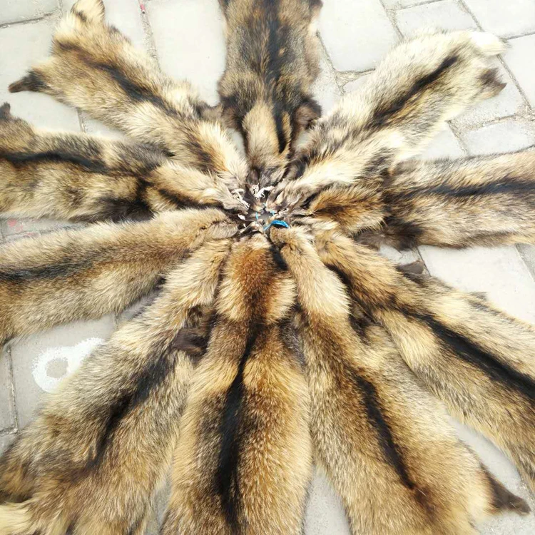 Натуральная меховая кожа енота для шубы и воротника