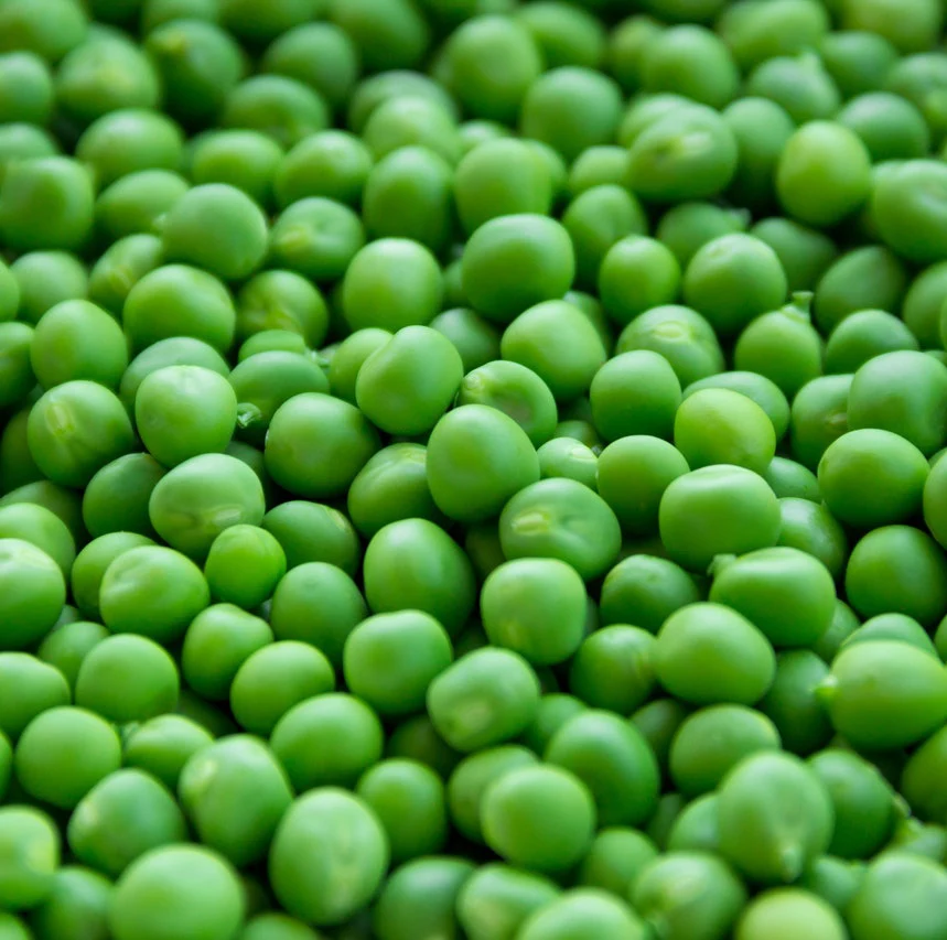 
High Quality Frozen Green Peas With Good Price 